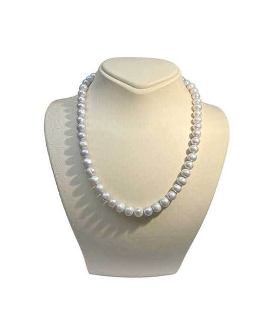 TEMPO PERLA GRAY PEARLS